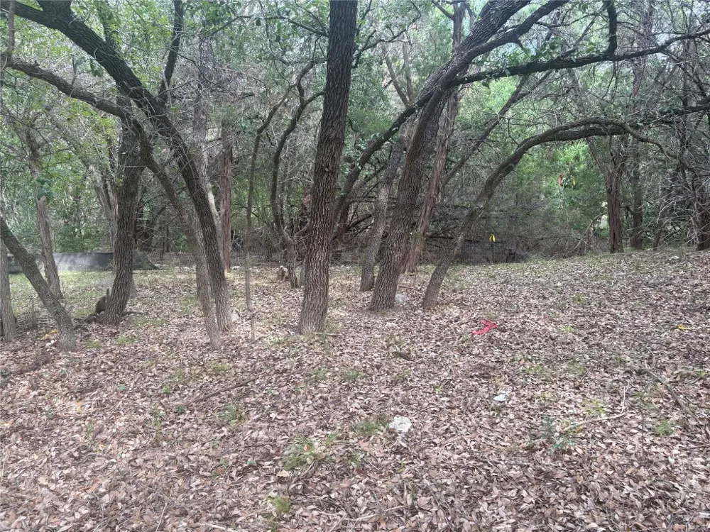 1803 Lipan Trail Austin, TX 78733