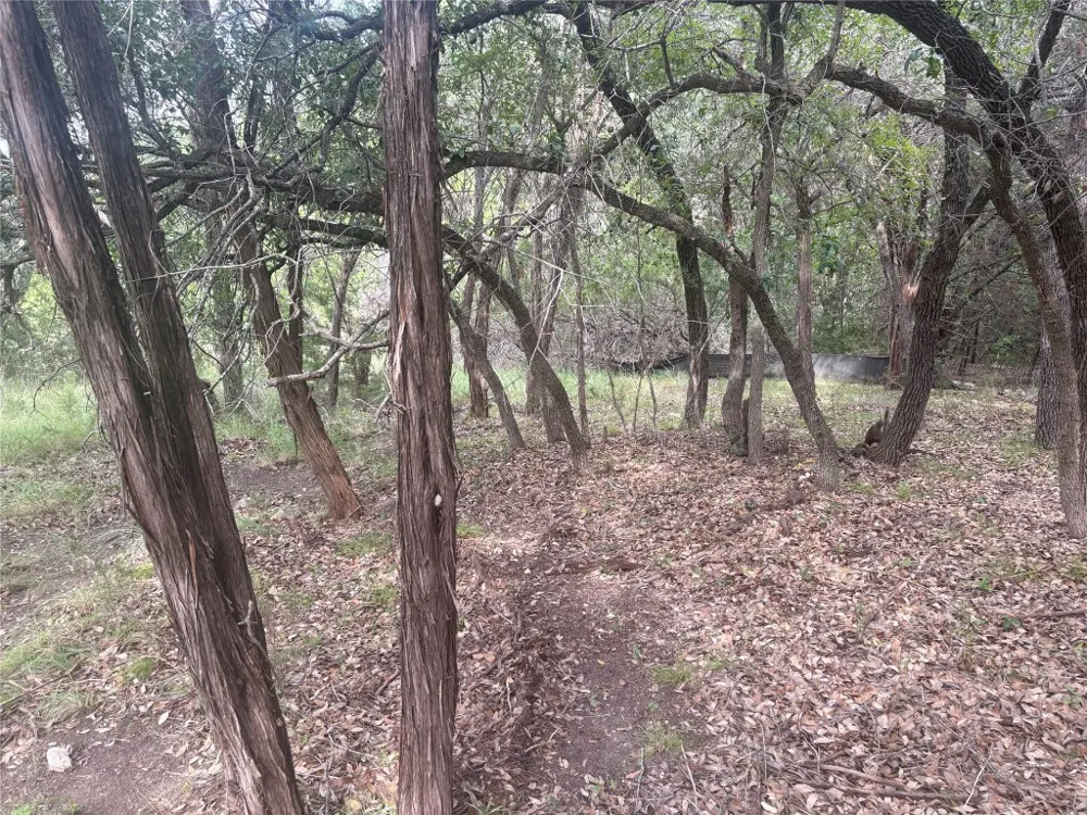 1803 Lipan Trail Austin, TX 78733