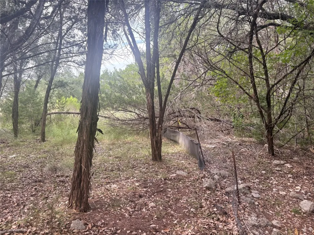1803 Lipan Trail Austin, TX 78733