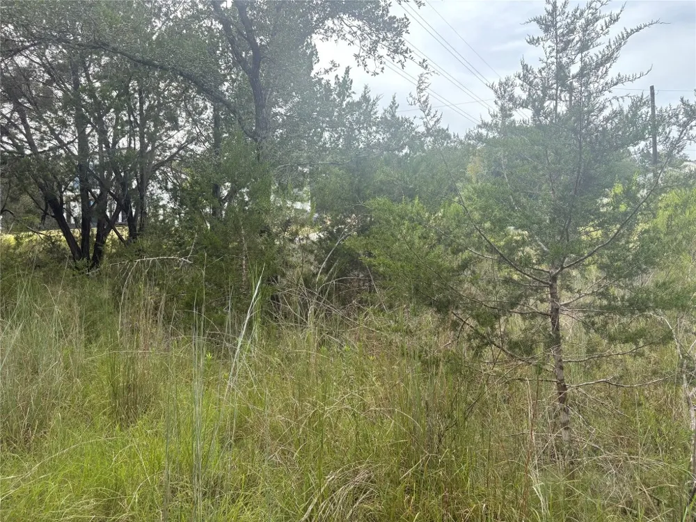 1803 Lipan Trail Austin, TX 78733