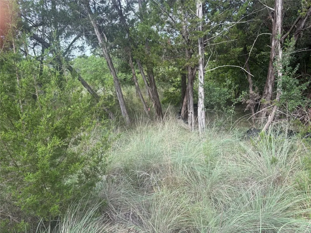 1803 Lipan Trail Austin, TX 78733