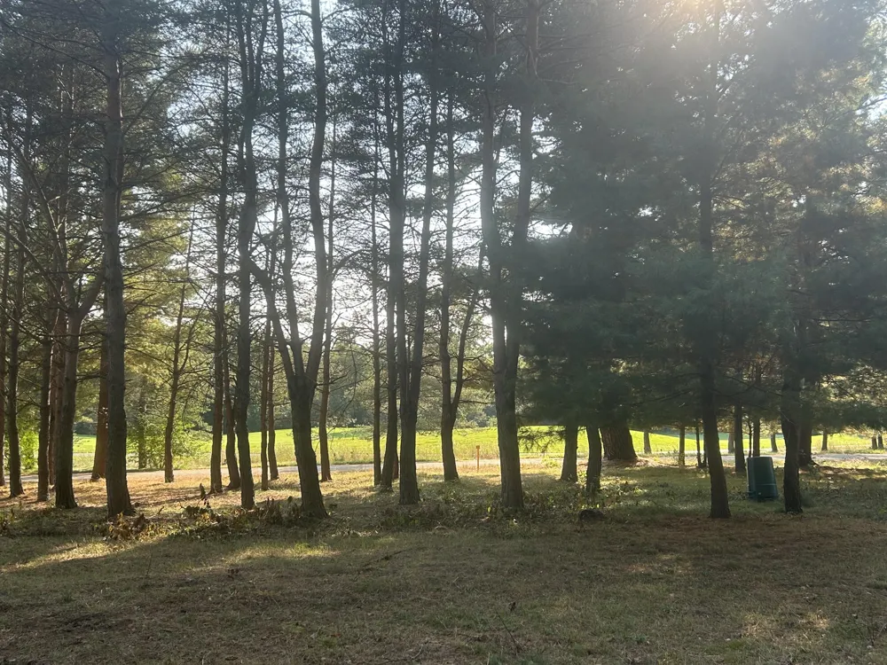 6878 Bantry Bay #3 Canadian Lakes, MI 49346