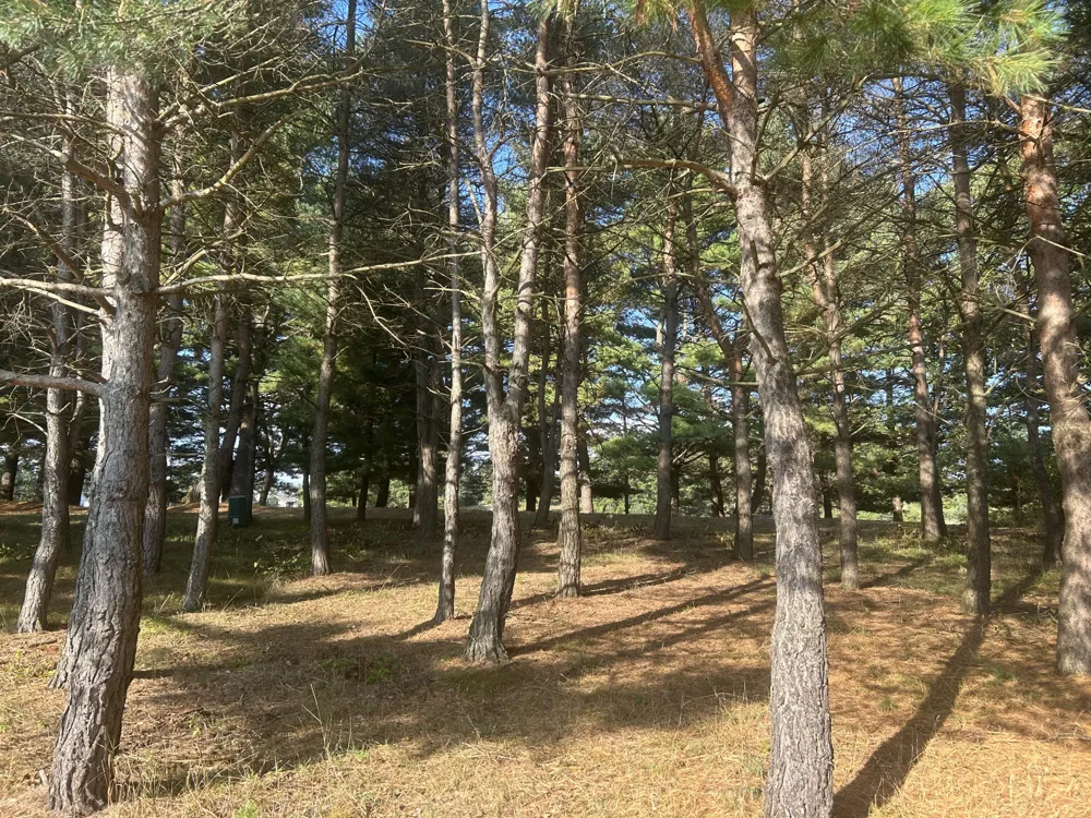 6878 Bantry Bay #3 Canadian Lakes, MI 49346