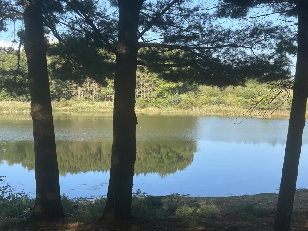 6878 Bantry Bay #3 Canadian Lakes, MI 49346