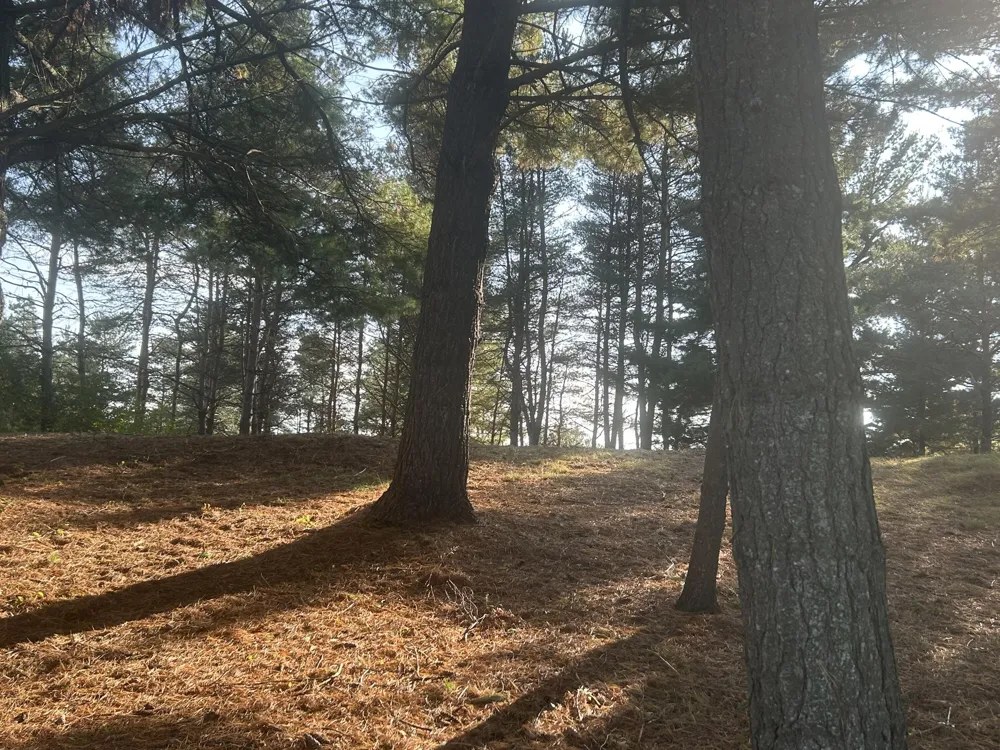 6878 Bantry Bay #3 Canadian Lakes, MI 49346