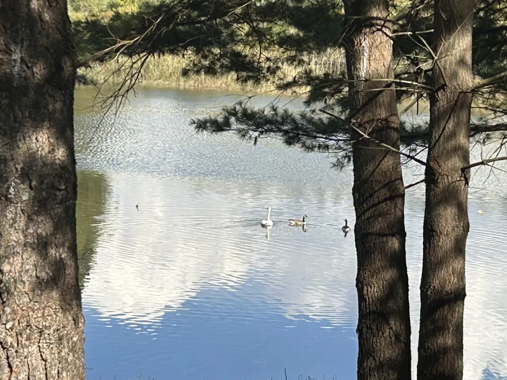 6878 Bantry Bay #3 Canadian Lakes, MI 49346
