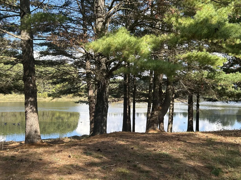 6878 Bantry Bay #3 Canadian Lakes, MI 49346