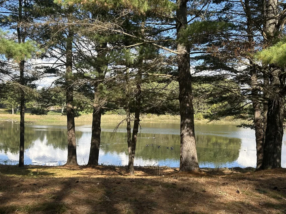 6878 Bantry Bay #3 Canadian Lakes, MI 49346