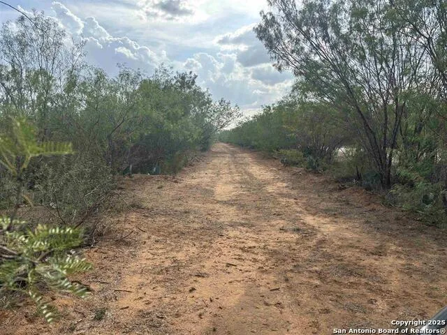 50 ACRES IH 35 Frontage Laredo, TX 78001