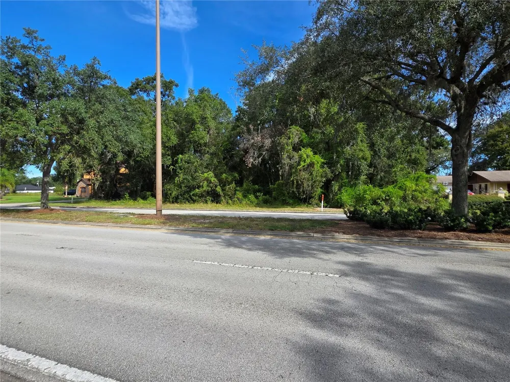 TBD HIGHWAY 42 Summerfield, FL 34491