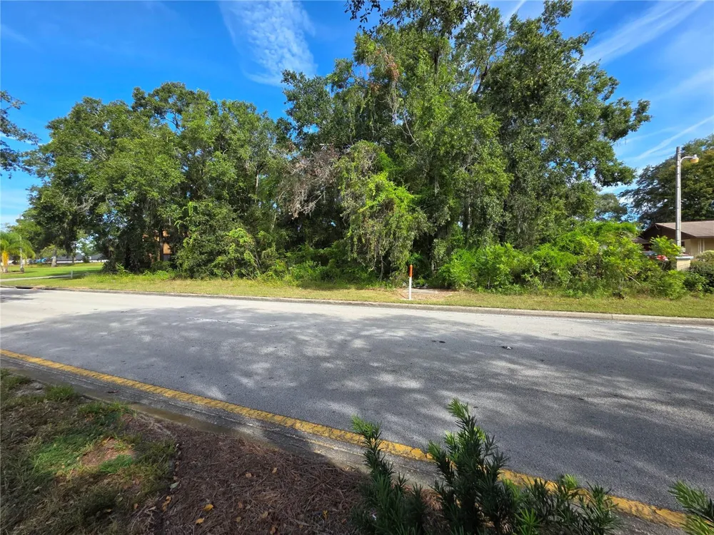 TBD HIGHWAY 42 Summerfield, FL 34491