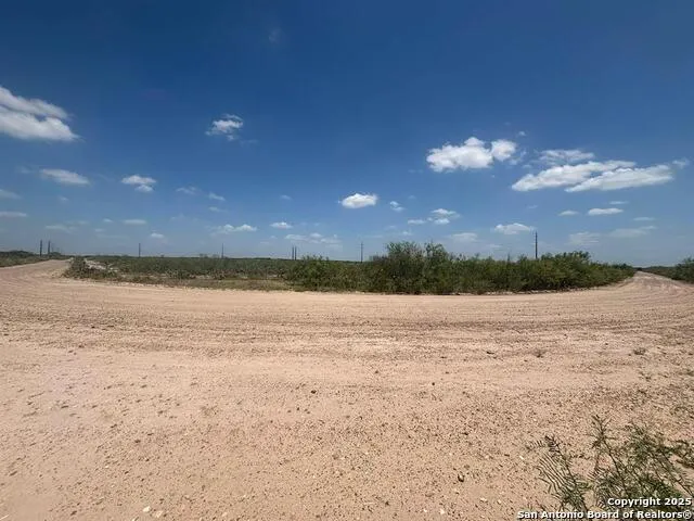 34 ACRES Mangana Hein Laredo, TX 78046