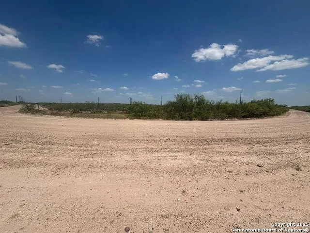 34 ACRES Mangana Hein Laredo, TX 78046
