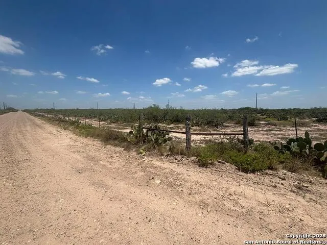 34 ACRES Mangana Hein Laredo, TX 78046
