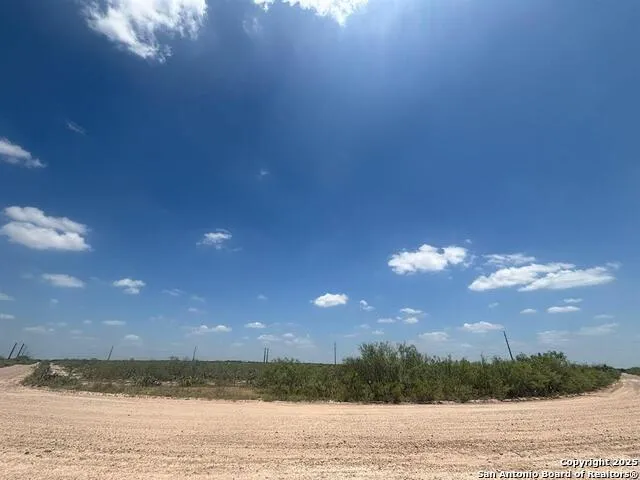 34 ACRES Mangana Hein Laredo, TX 78046