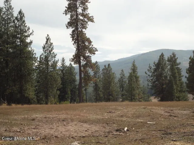149 Meadow Road St. Maries, ID 83861