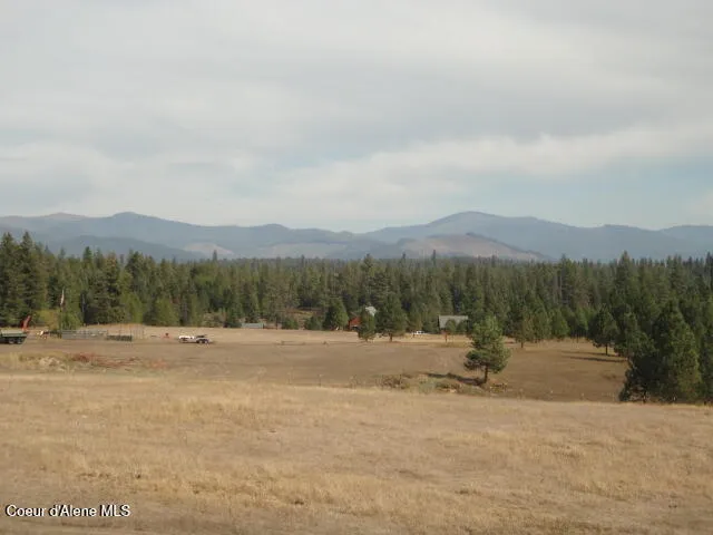 149 Meadow Road St. Maries, ID 83861