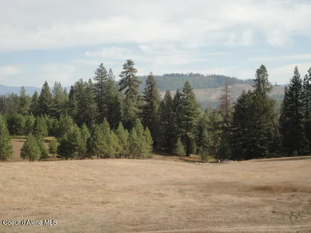 149 Meadow Road St. Maries, ID 83861