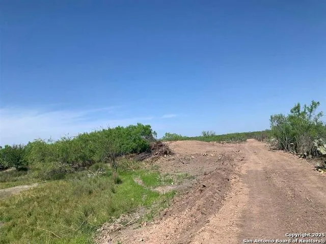 5 ACRES- LOT 28 Camino Del Este Laredo, TX 78043