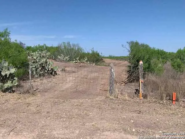 5 ACRES- LOT 28 Camino Del Este Laredo, TX 78043