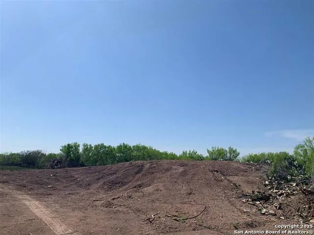 5 ACRES- LOT 28 Camino Del Este Laredo, TX 78043
