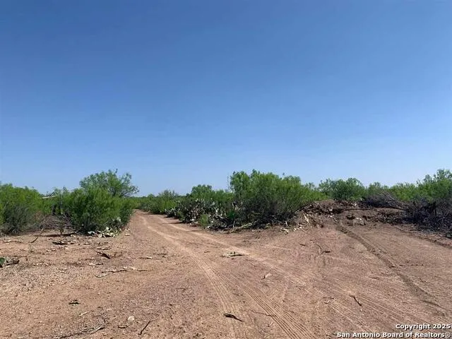 5 ACRES- LOT 28 Camino Del Este Laredo, TX 78043