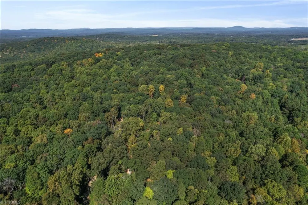 2272 Doul Mountain Road Asheboro, NC 27205