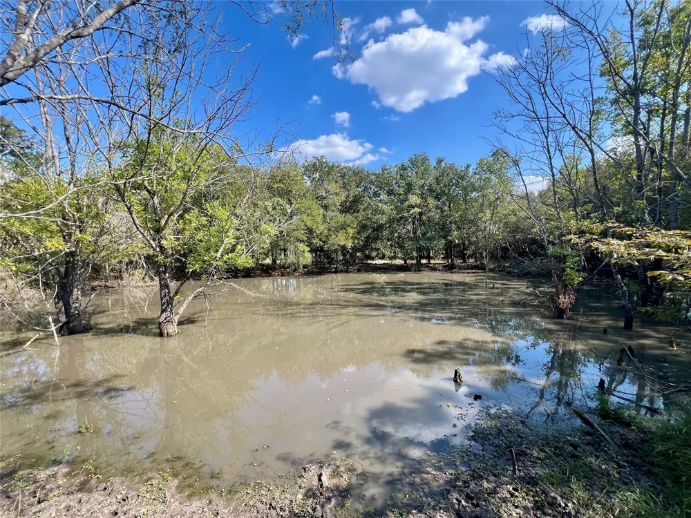 NW Co Rd 3310 Frost, TX 76641