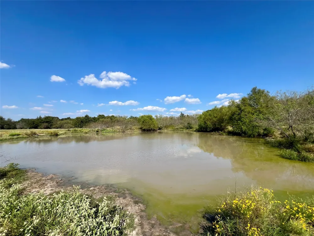 NW Co Rd 3310 Frost, TX 76641