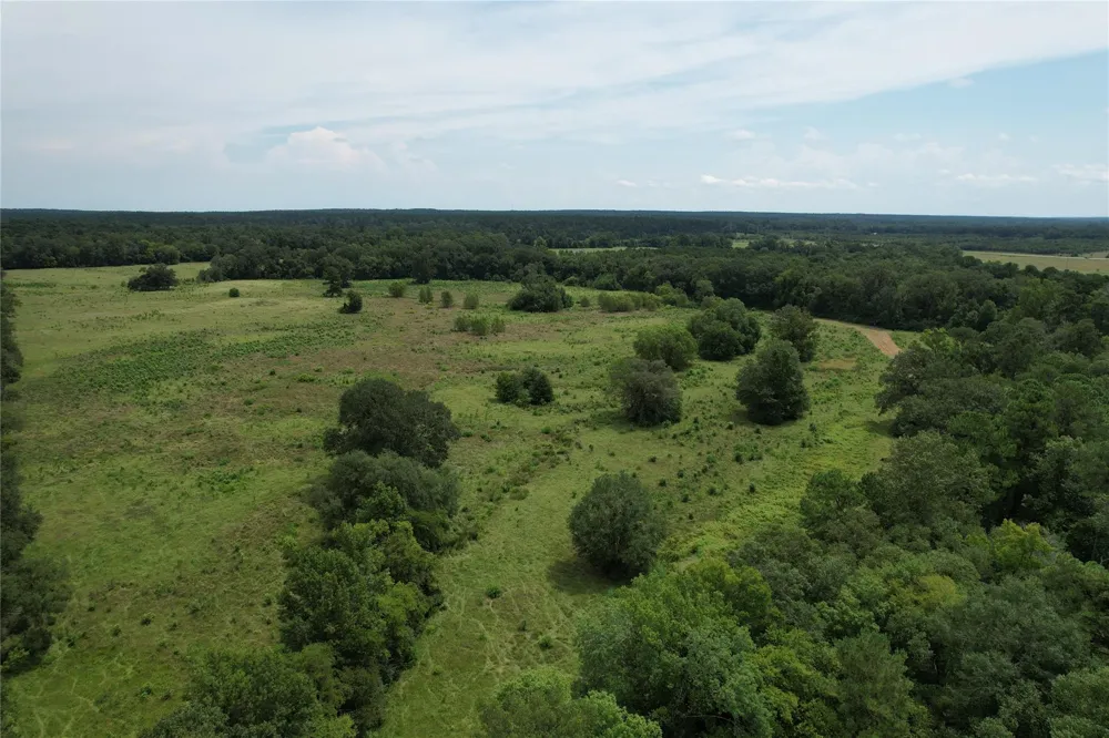 120 Fsr 513 Kennard, TX 75847