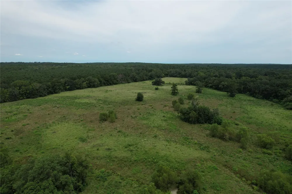 120 Fsr 513 Kennard, TX 75847