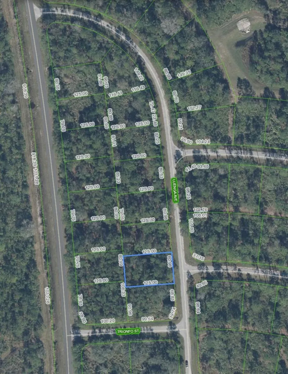5119 LUENGA AVENUE Sebring, FL 33872
