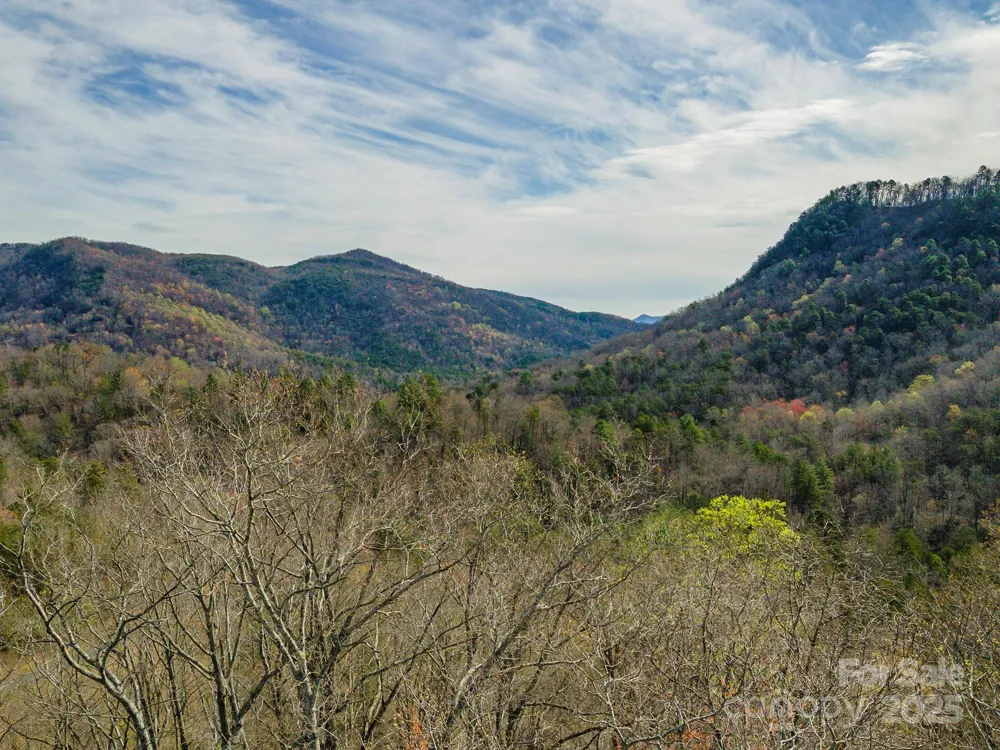 99999 Trillium Lane #7 Lake Lure, NC 28746