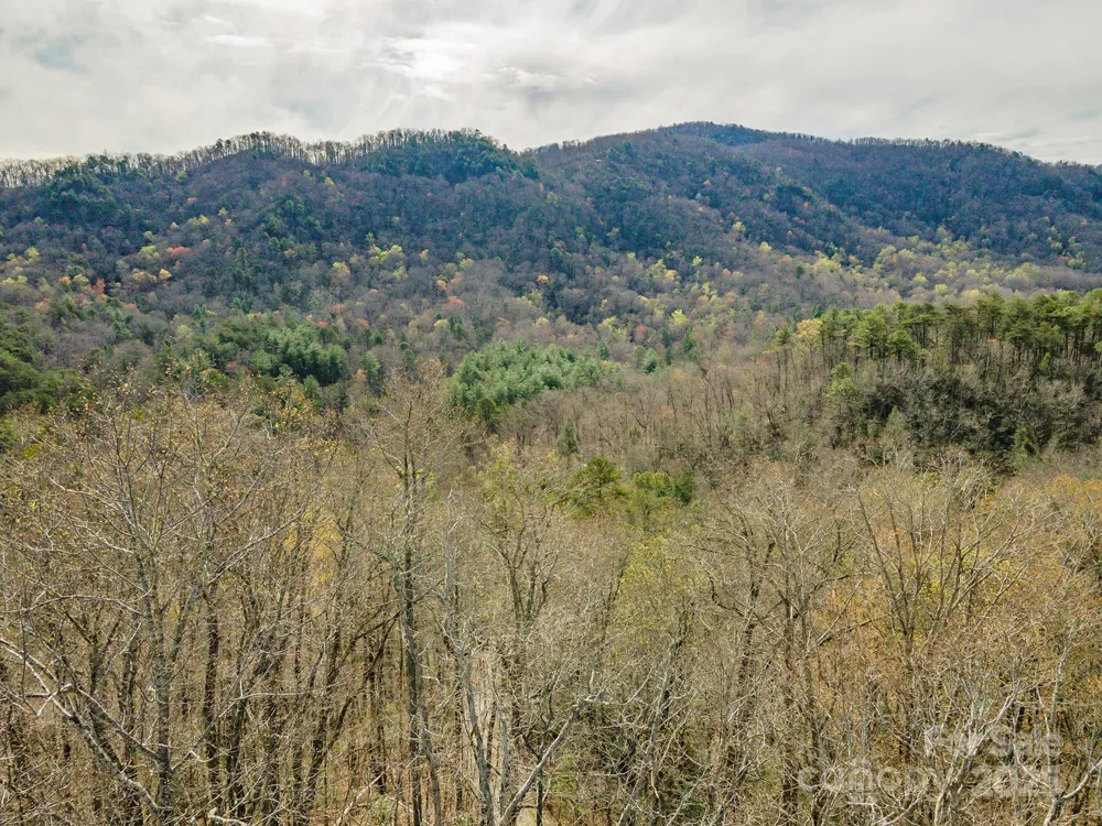99999 Trillium Lane #7 Lake Lure, NC 28746