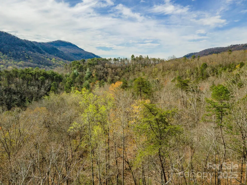 99999 Trillium Lane #7 Lake Lure, NC 28746
