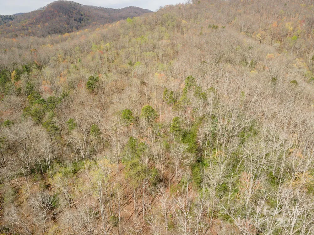 99999 Trillium Lane #7 Lake Lure, NC 28746