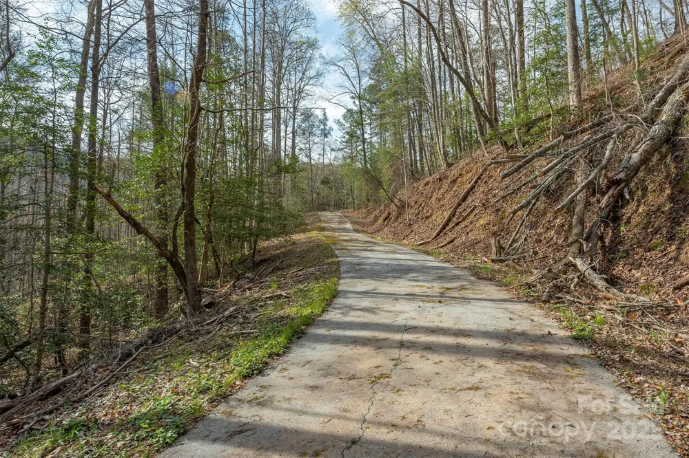99999 Trillium Lane #7 Lake Lure, NC 28746