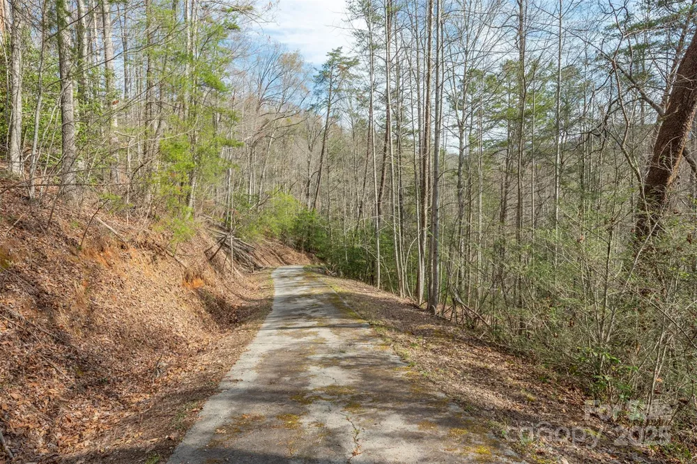 99999 Trillium Lane #7 Lake Lure, NC 28746