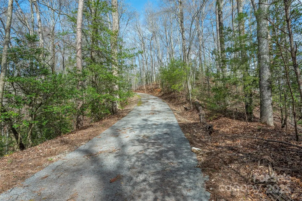 99999 Trillium Lane #7 Lake Lure, NC 28746
