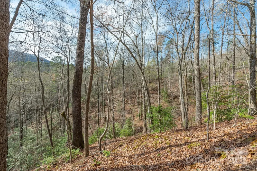 99999 Trillium Lane #7 Lake Lure, NC 28746