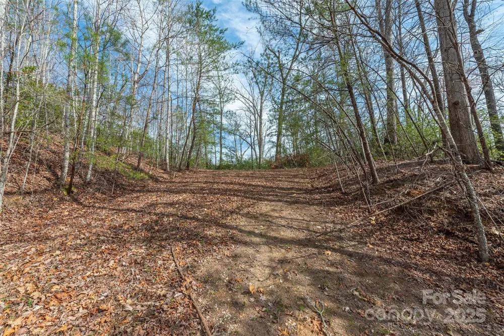 99999 Trillium Lane #7 Lake Lure, NC 28746