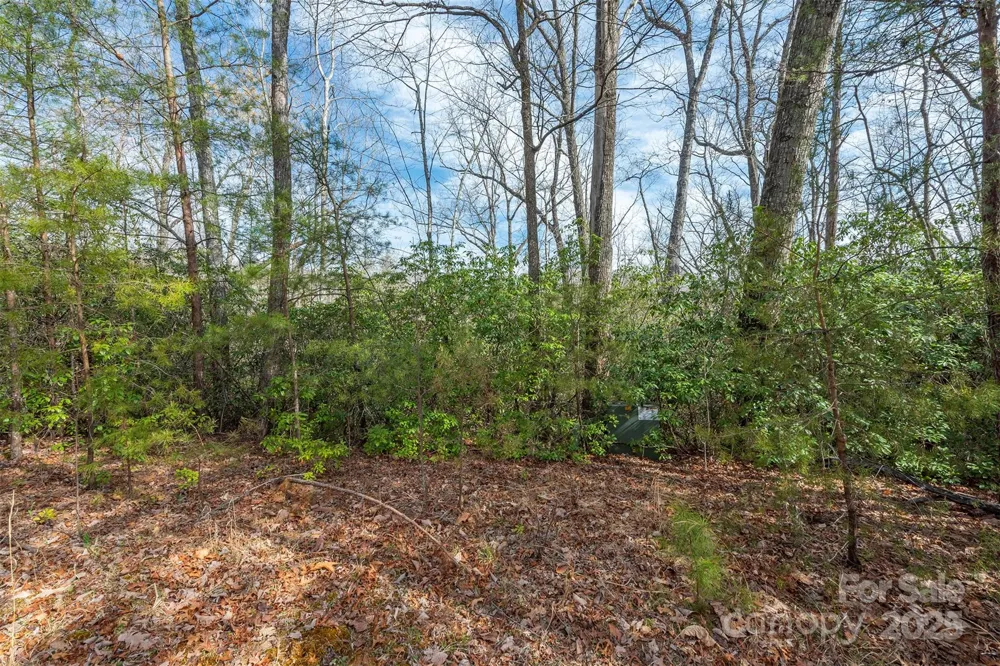 99999 Trillium Lane #7 Lake Lure, NC 28746