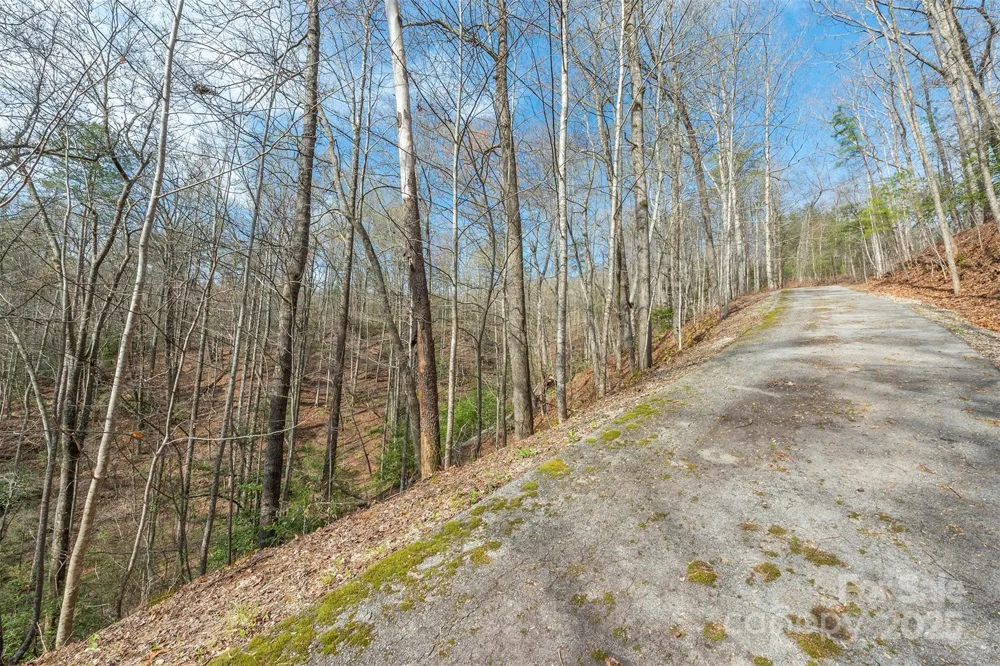 99999 Trillium Lane #7 Lake Lure, NC 28746