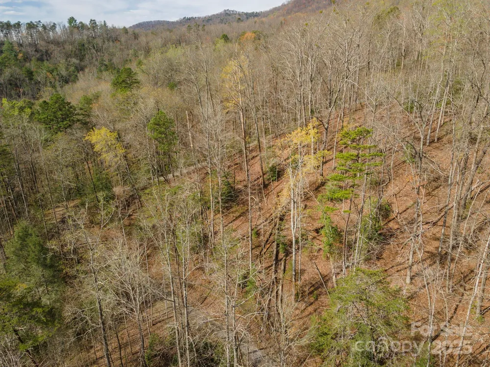99999 Trillium Lane #7 Lake Lure, NC 28746