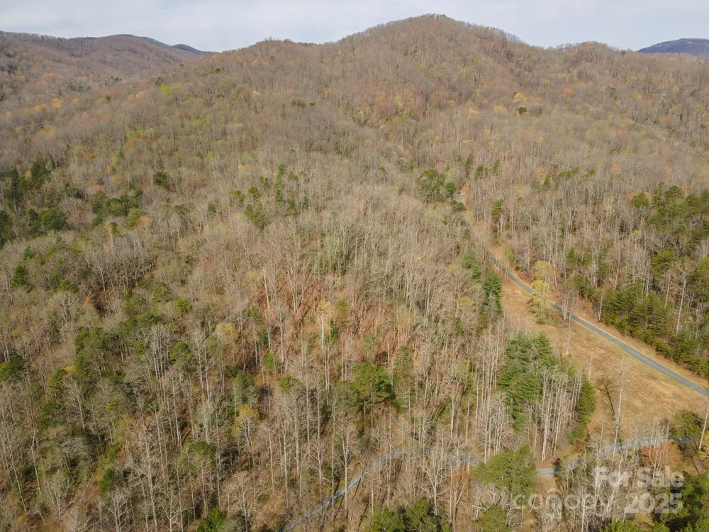 99999 Trillium Lane #7 Lake Lure, NC 28746