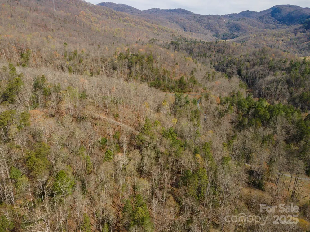 99999 Trillium Lane #7 Lake Lure, NC 28746