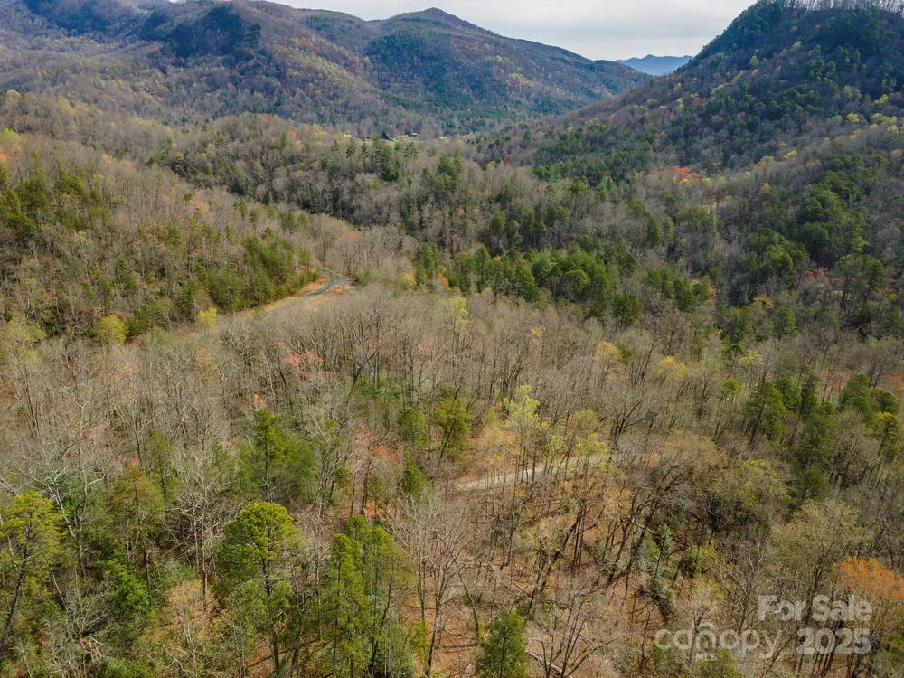 99999 Trillium Lane #7 Lake Lure, NC 28746