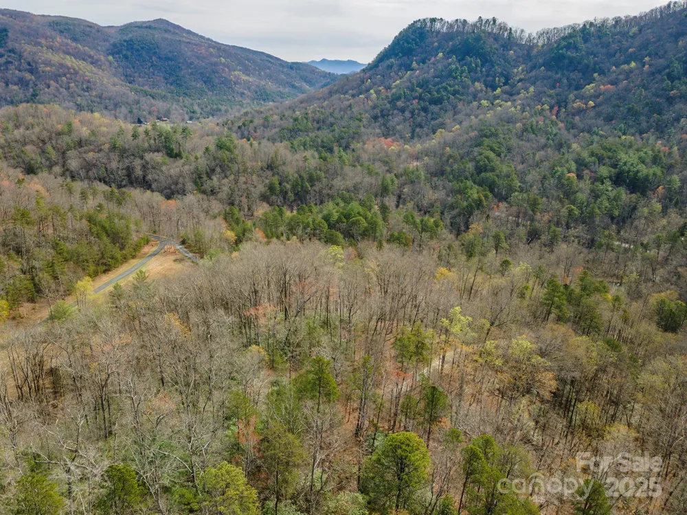99999 Trillium Lane #7 Lake Lure, NC 28746