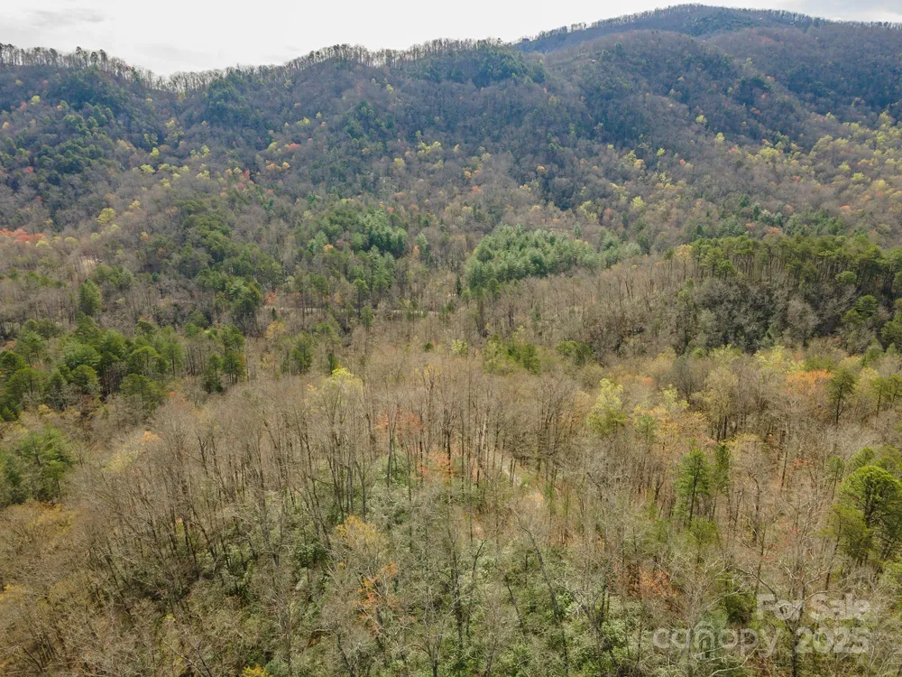 99999 Trillium Lane #7 Lake Lure, NC 28746