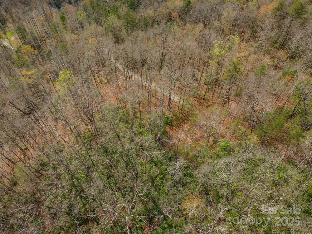 99999 Trillium Lane #7 Lake Lure, NC 28746